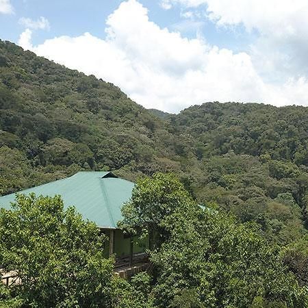 Gorilla Hills Eco-Lodge キソロ エクステリア 写真