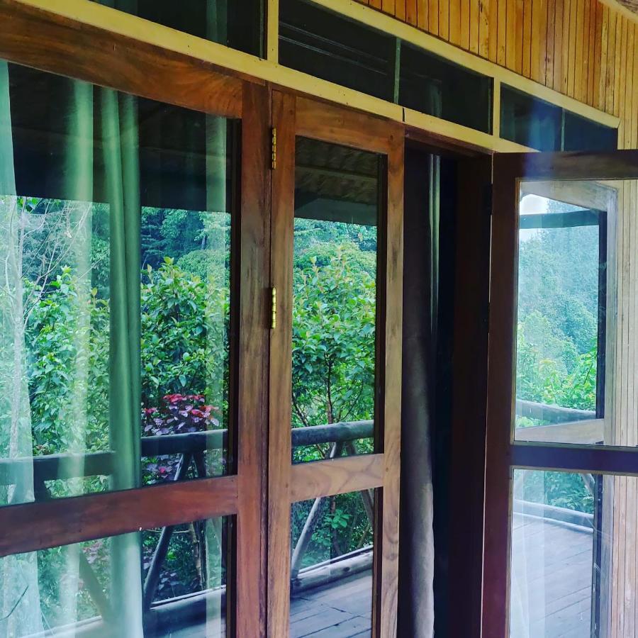 Gorilla Hills Eco-Lodge キソロ エクステリア 写真