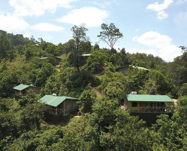Gorilla Hills Eco-Lodge キソロ エクステリア 写真
