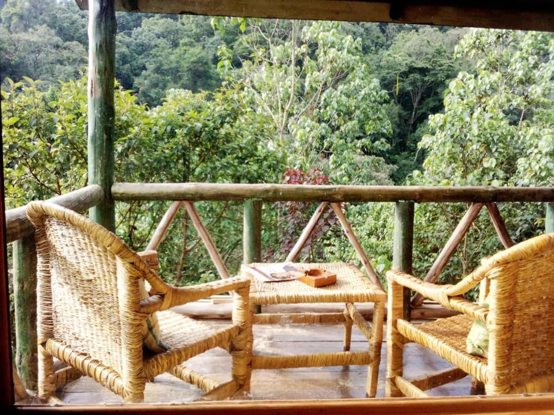 Gorilla Hills Eco-Lodge キソロ エクステリア 写真