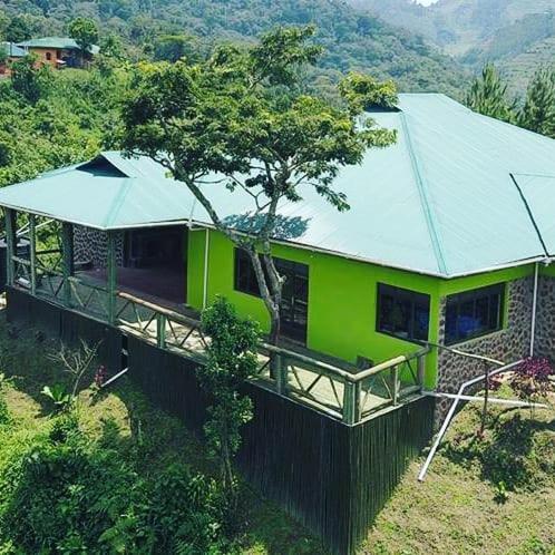 Gorilla Hills Eco-Lodge キソロ エクステリア 写真