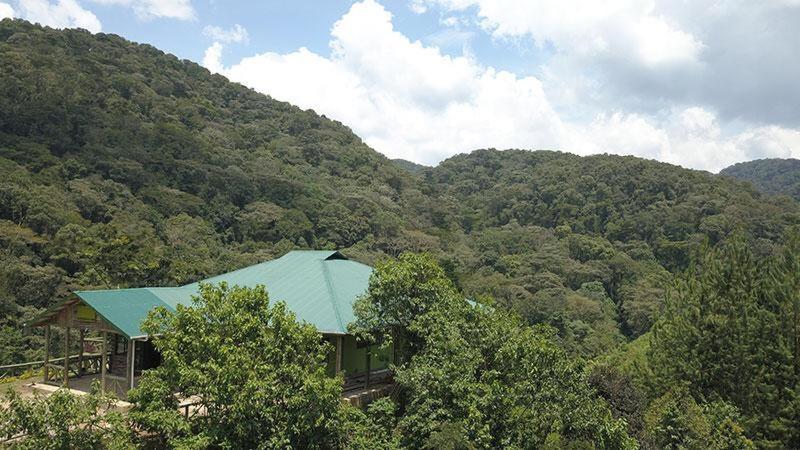 Gorilla Hills Eco-Lodge キソロ エクステリア 写真