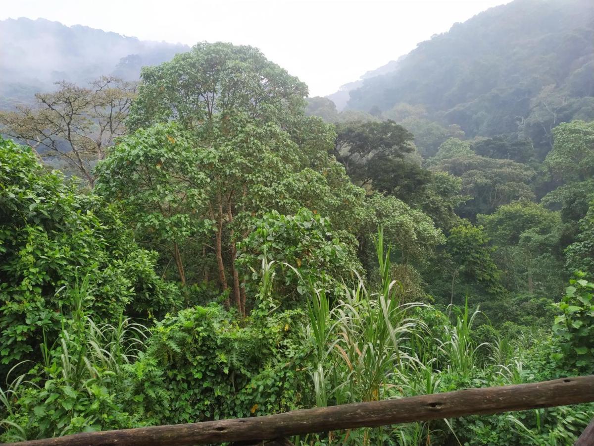 Gorilla Hills Eco-Lodge キソロ エクステリア 写真