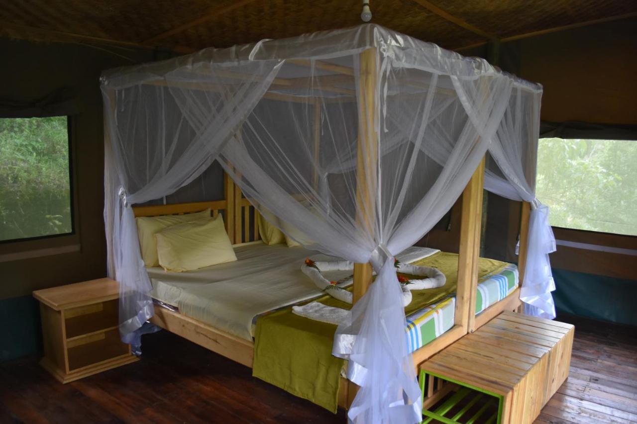Gorilla Hills Eco-Lodge キソロ エクステリア 写真