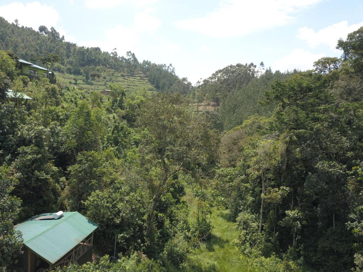 Gorilla Hills Eco-Lodge キソロ エクステリア 写真