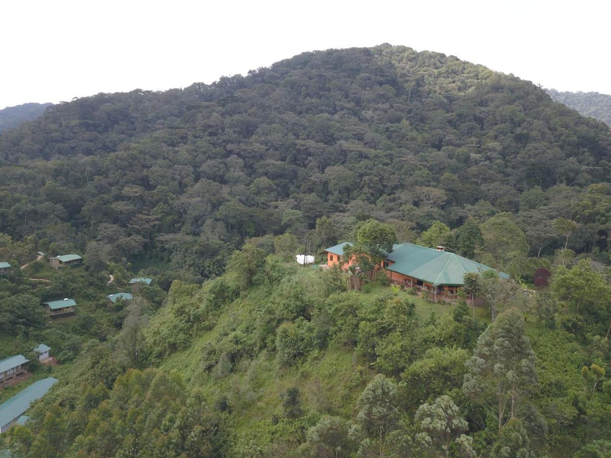 Gorilla Hills Eco-Lodge キソロ エクステリア 写真