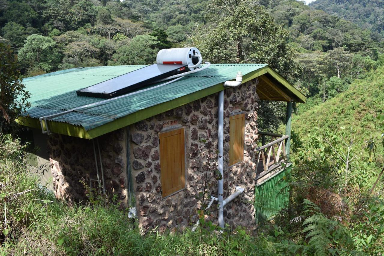 Gorilla Hills Eco-Lodge キソロ エクステリア 写真