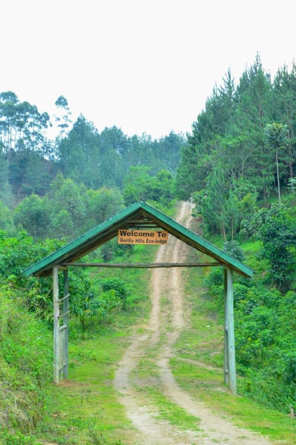 Gorilla Hills Eco-Lodge キソロ エクステリア 写真